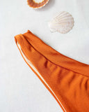 Basic V cut bikini slip