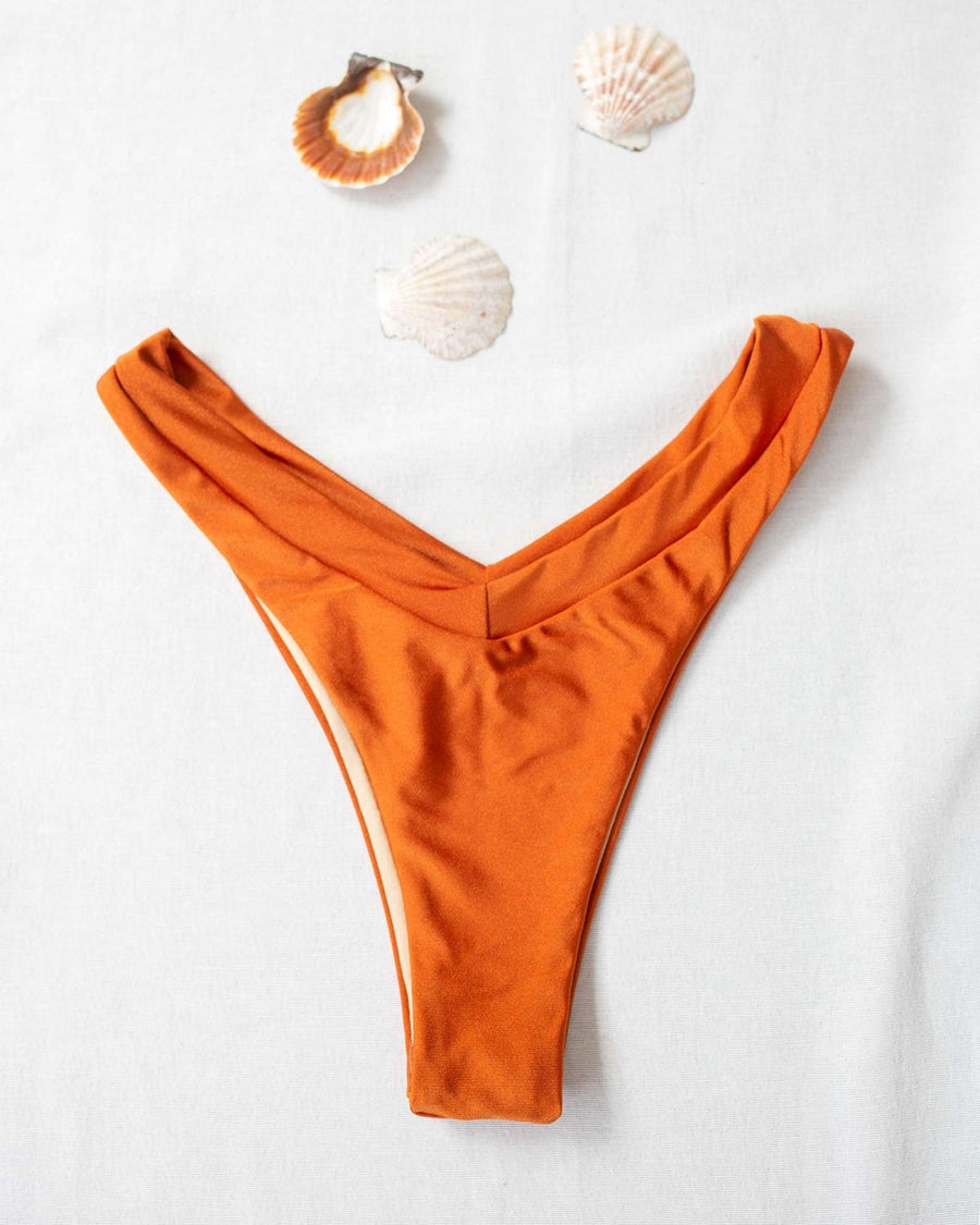 Basic V cut bikini slip