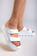 Flatforms slides με τοκάδες ATENEO