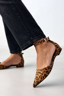 Μπαλαρίνες μυτερές με μπαρέτα TFP - Leopard - thefashionproject.gr - TFP