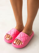 Slides ONLY 15288145