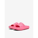 Slides ONLY 15288145
