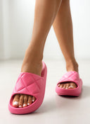 Slides ONLY 15288145